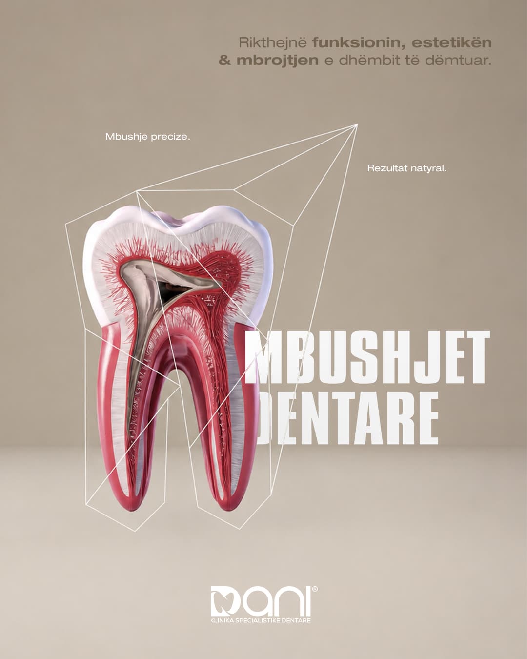 Mbushjet Dentare